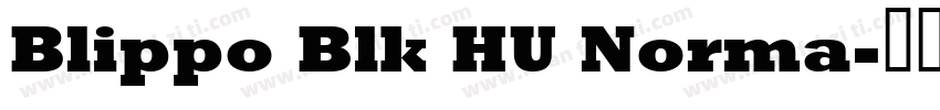 Blippo Blk HU Norma字体转换